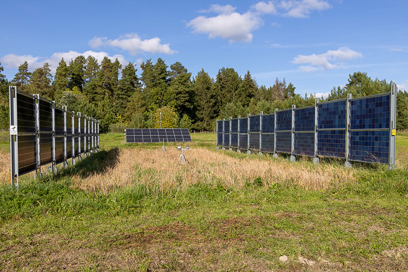 Ett nytt projekt på MDU undersöker möjligheterna med så kallat solbruk, där solelproduktion och jordbruk bedrivs på samma mark.